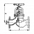 /product/flantsevyi_proxodnoy_sudovoy_zapornyi_klapan_dlya_ammiaka_s_ruchnym_upravleniem_521-35_2038_250_mm.html