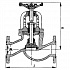 /product/flantsevyi_proxodnoy_salnikovyi_sudovoy_zapornyi_klapan_s_ruchnym_upravleniem_521-01_125_25_mm_25_kgssm2.html